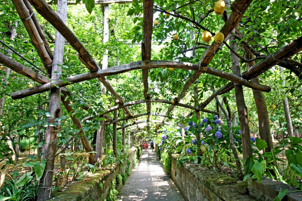 I Giardini Di Cataldo Sorrento Villa Exteriör bild